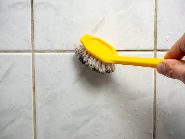 Best Mold Testing and Inspection Services in Salineville, OH