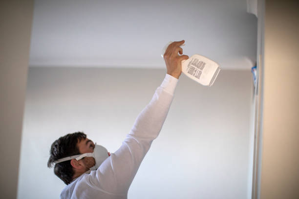 Best Commercial Mold Remediation in Salineville, OH